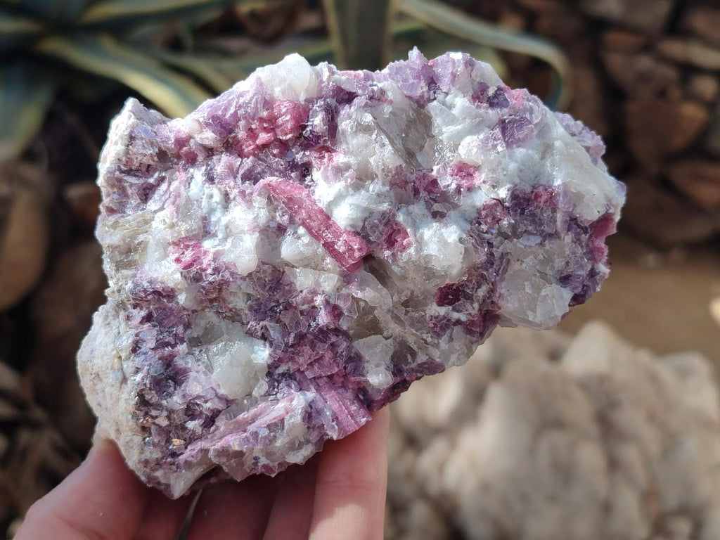 Natural Pink Rubellite Tourmaline Specimens x 6 From Karibib, Namibia - Toprock Gemstones and Minerals 