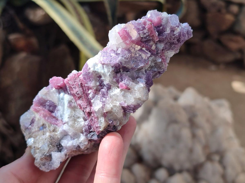 Natural Pink Rubellite Tourmaline Specimens x 6 From Karibib, Namibia - Toprock Gemstones and Minerals 