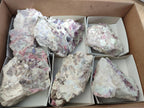 Natural Pink Rubellite Tourmaline Specimens x 6 From Karibib, Namibia - Toprock Gemstones and Minerals 