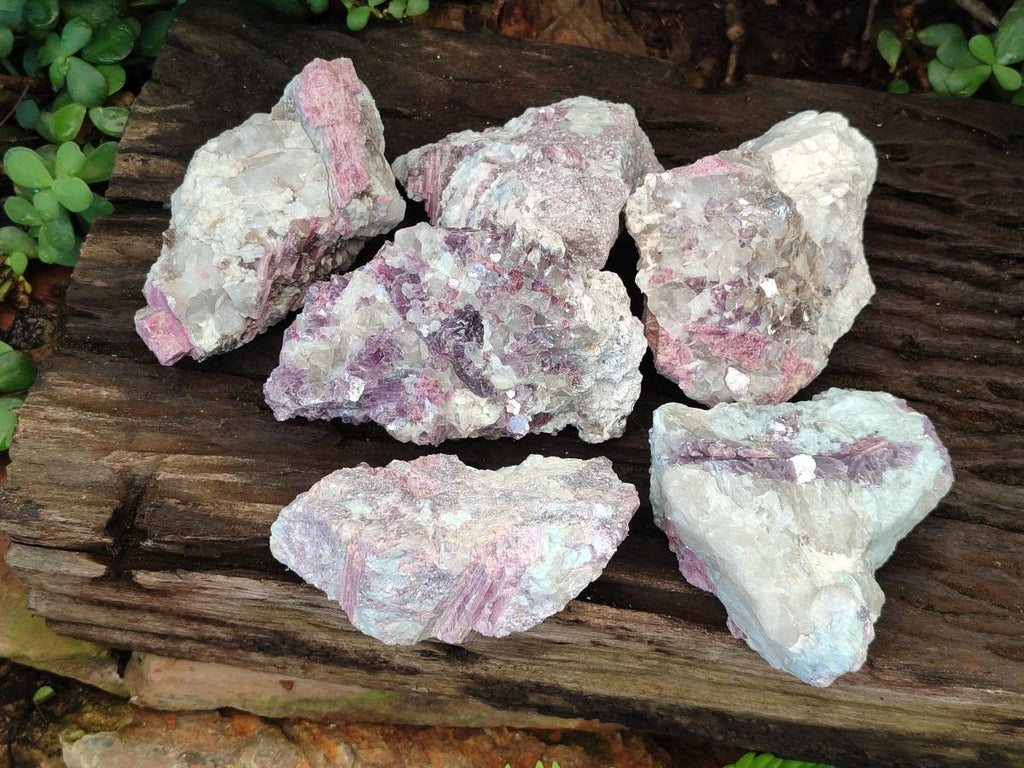 Natural Pink Rubellite Tourmaline Specimens x 6 From Karibib, Namibia - Toprock Gemstones and Minerals 