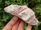Natural Pink Rubellite Tourmaline Specimens x 6 From Karibib, Namibia - Toprock Gemstones and Minerals 