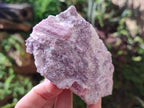 Natural Pink Rubellite Tourmaline Specimens x 6 From Karibib, Namibia - Toprock Gemstones and Minerals 