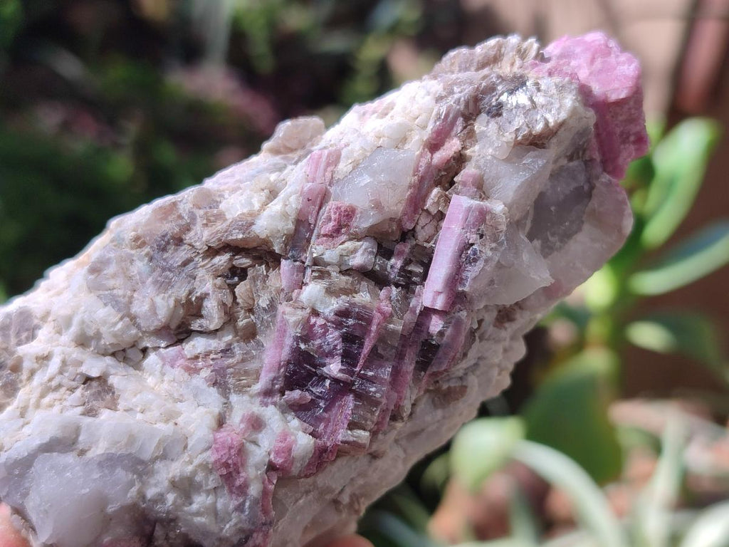 Natural Pink Rubellite Tourmaline Specimens x 6 From Karibib, Namibia - Toprock Gemstones and Minerals 