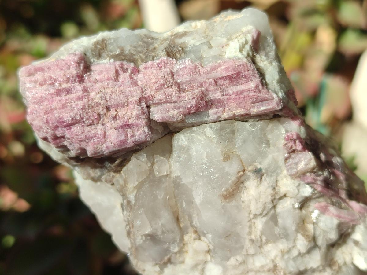 Natural Pink Rubellite Tourmaline Specimens x 6 From Karibib, Namibia - Toprock Gemstones and Minerals 