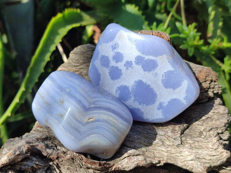 Polished Blue Lace Agate Free Forms x 12 From Nsanje, Malawi - Toprock Gemstones and Minerals 