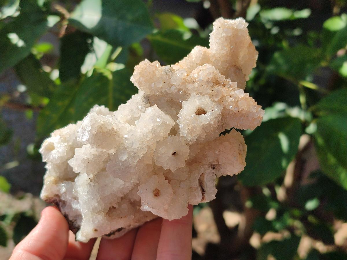 Natural Drusy Snow Finger Quartz Coated Clusters x 2 From Albert's Mountain, Lesotho - Toprock Gemstones and Minerals 
