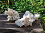 Natural Drusy Snow Finger Quartz Coated Clusters x 2 From Albert's Mountain, Lesotho - Toprock Gemstones and Minerals 