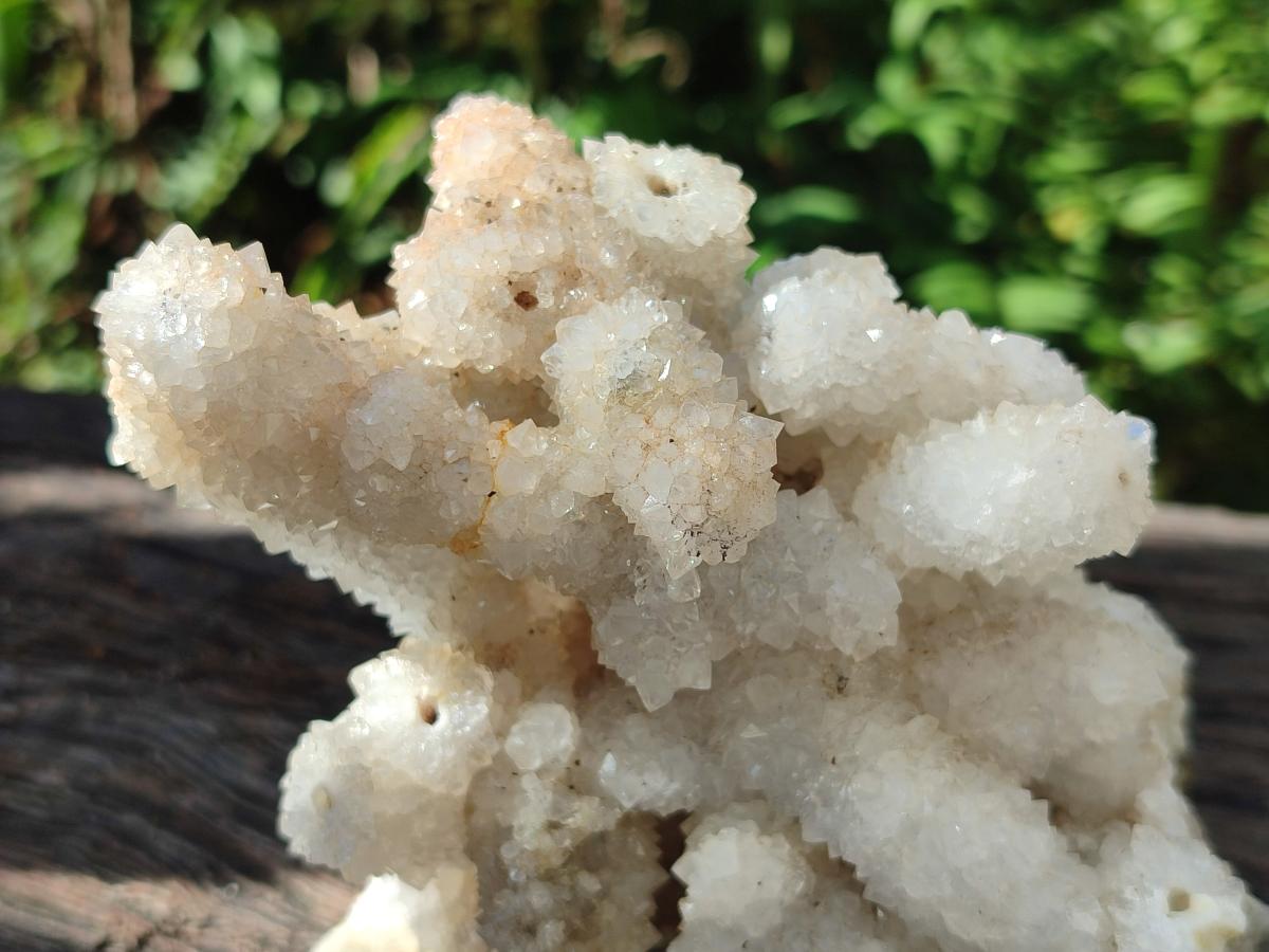 Natural Drusy Snow Finger Quartz Coated Clusters x 2 From Albert's Mountain, Lesotho - Toprock Gemstones and Minerals 