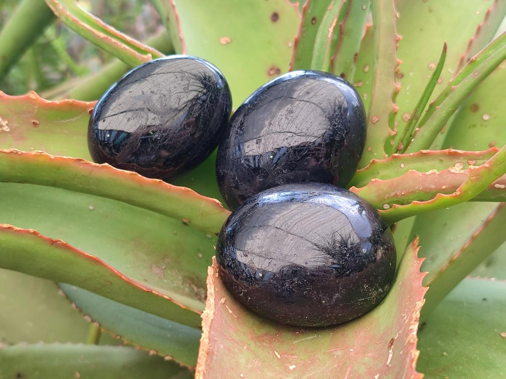 Polished Black Tourmaline Galets x 12 From Madagascar - Toprock Gemstones and Minerals 