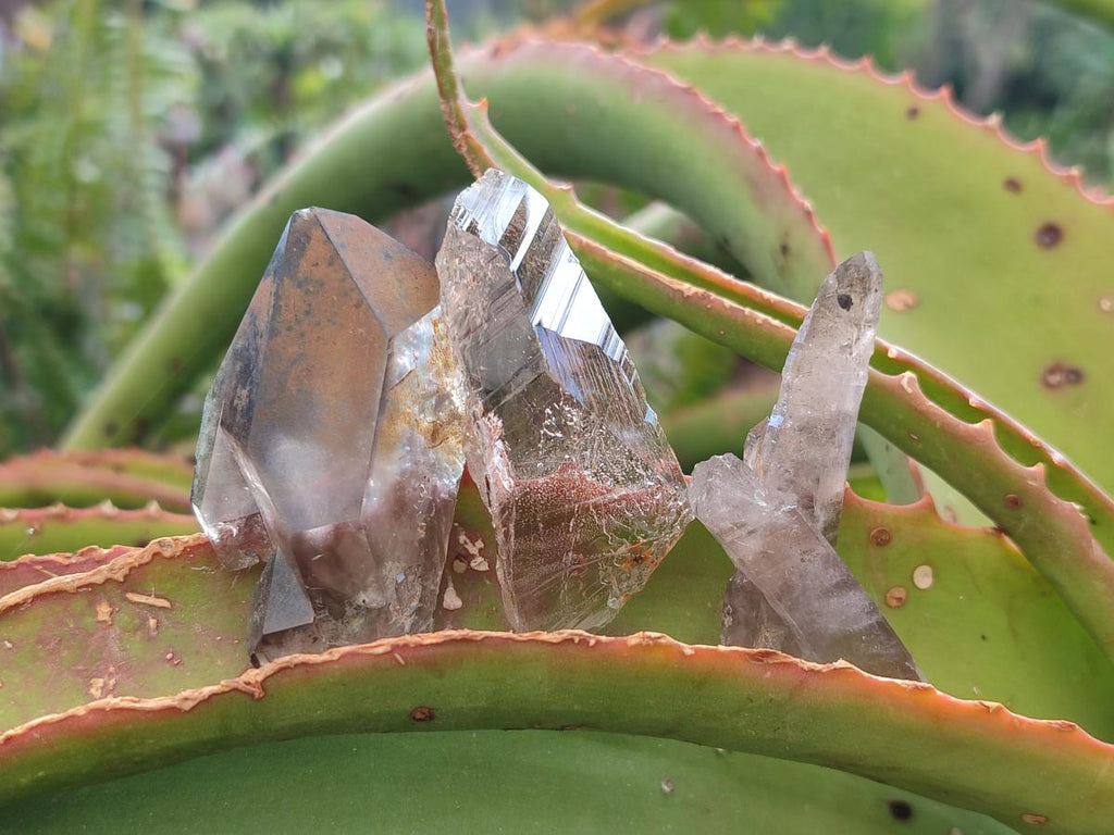 Natural Smokey Quartz Crystals x 72 From Mulanje, Malawi - Toprock Gemstones and Minerals 