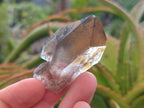 Natural Smokey Quartz Crystals x 72 From Mulanje, Malawi - Toprock Gemstones and Minerals 