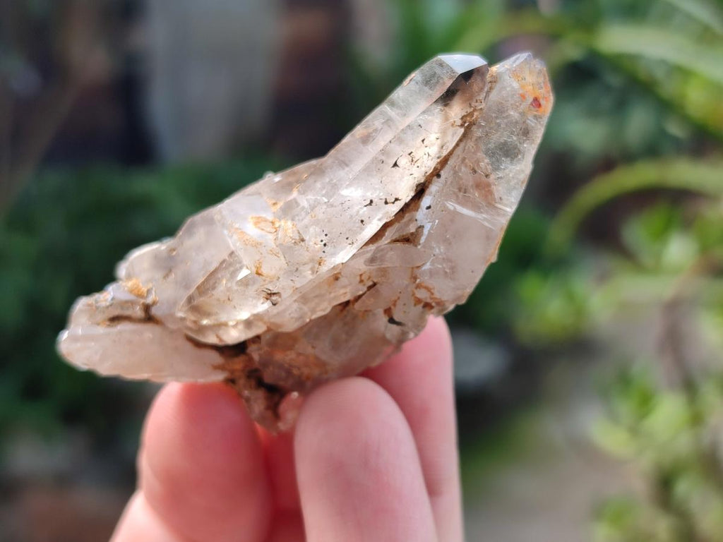 Natural Smokey Quartz Crystals x 72 From Mulanje, Malawi - Toprock Gemstones and Minerals 