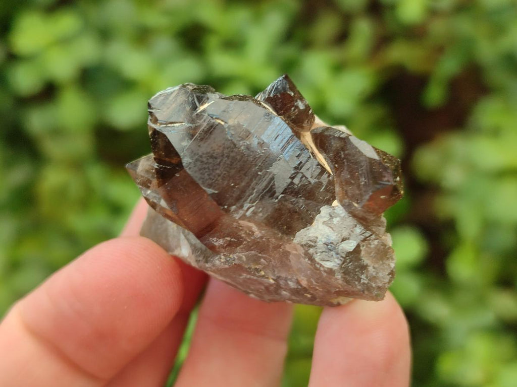 Natural Smokey Quartz Crystals x 72 From Mulanje, Malawi - Toprock Gemstones and Minerals 