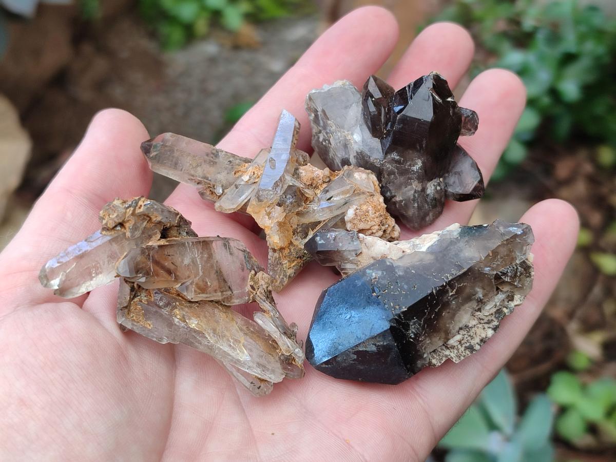Natural Smokey Quartz Crystals x 72 From Mulanje, Malawi - Toprock Gemstones and Minerals 