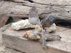Natural Smokey Quartz Crystals x 72 From Mulanje, Malawi - Toprock Gemstones and Minerals 