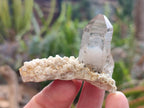 Natural Smokey Quartz Crystals x 72 From Mulanje, Malawi - Toprock Gemstones and Minerals 