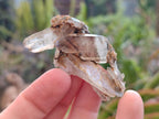 Natural Smokey Quartz Crystals x 72 From Mulanje, Malawi - Toprock Gemstones and Minerals 