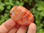 Polished Carnelian Agate Gemstone Wire Wrap Jewellery Free Forms x 70 From Madagascar - Toprock Gemstones and Minerals 