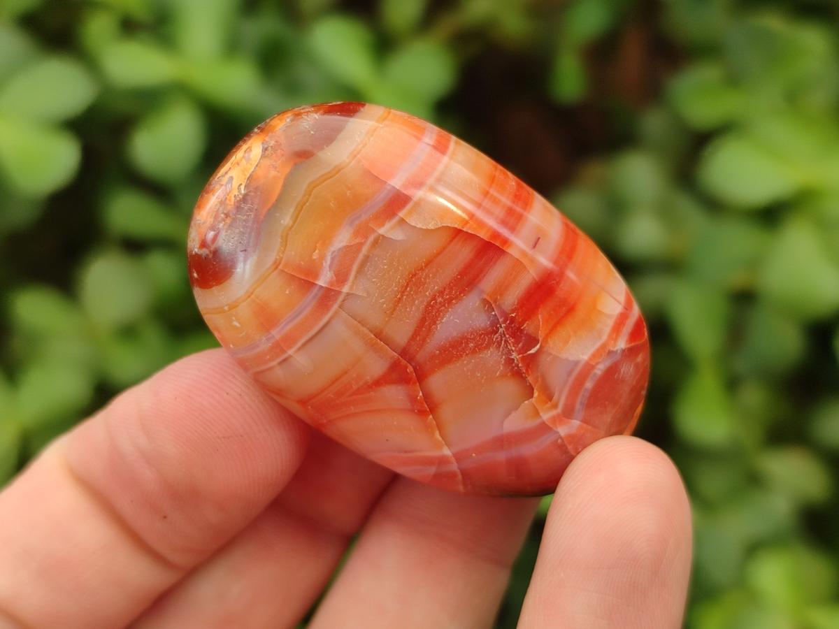 Polished Carnelian Agate Gemstone Wire Wrap Jewellery Free Forms x 70 From Madagascar - Toprock Gemstones and Minerals 