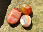 Polished Carnelian Agate Gemstone Wire Wrap Jewellery Free Forms x 70 From Madagascar - Toprock Gemstones and Minerals 