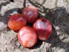 Polished Carnelian Agate Gemstone Wire Wrap Jewellery Free Forms x 70 From Madagascar - Toprock Gemstones and Minerals 