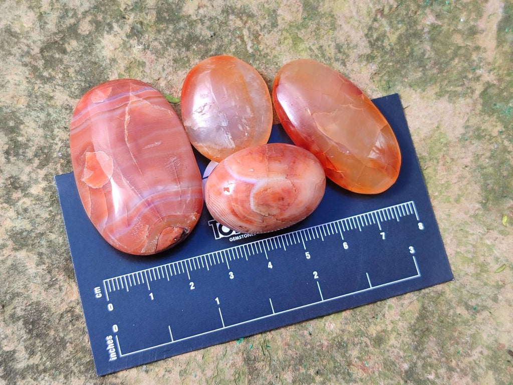 Polished Carnelian Agate Gemstone Wire Wrap Jewellery Free Forms x 70 From Madagascar - Toprock Gemstones and Minerals 