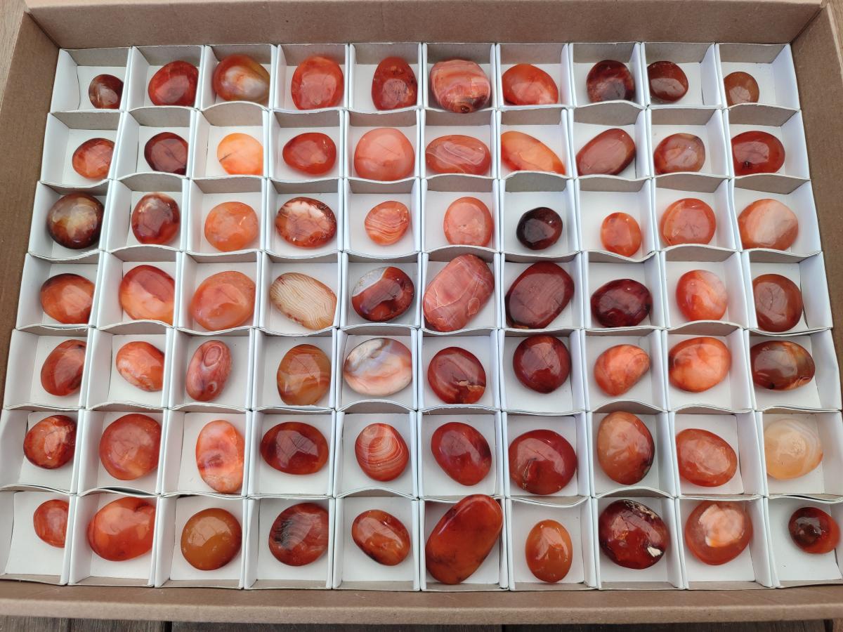 Polished Carnelian Agate Gemstone Wire Wrap Jewellery Free Forms x 70 From Madagascar - Toprock Gemstones and Minerals 