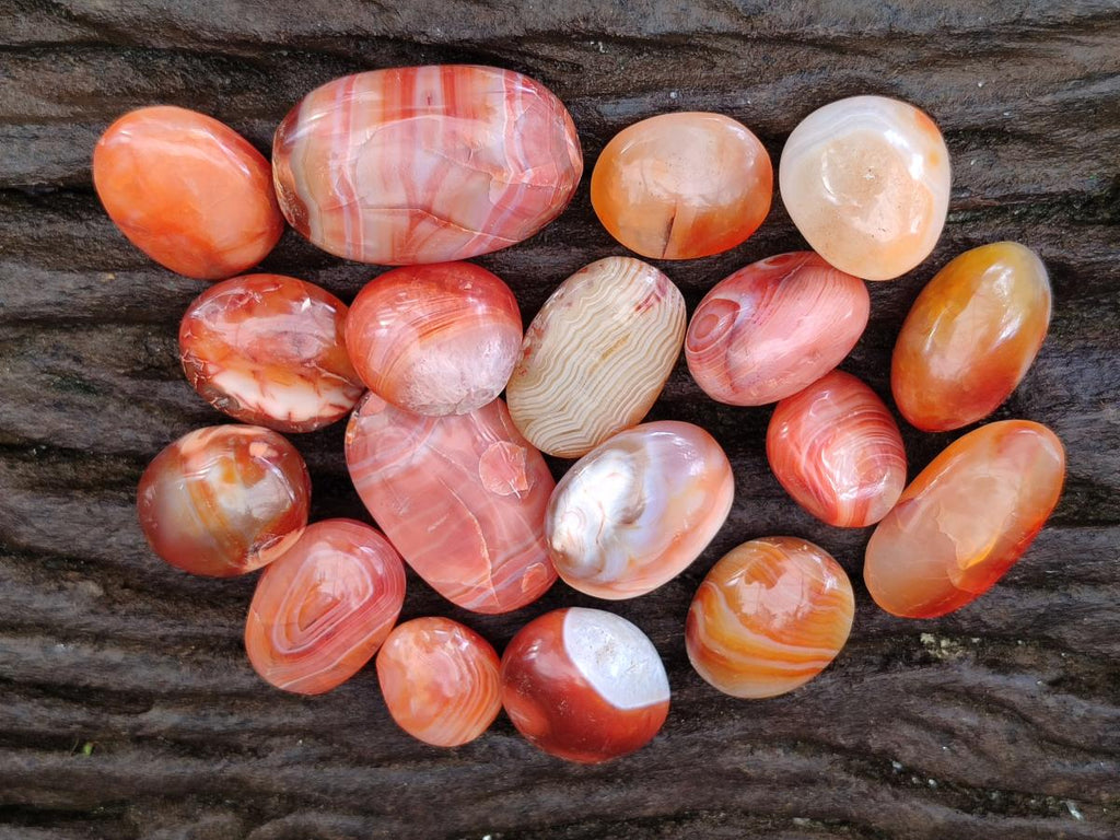 Polished Carnelian Agate Gemstone Wire Wrap Jewellery Free Forms x 70 From Madagascar - Toprock Gemstones and Minerals 