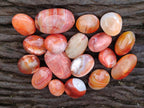 Polished Carnelian Agate Gemstone Wire Wrap Jewellery Free Forms x 70 From Madagascar - Toprock Gemstones and Minerals 