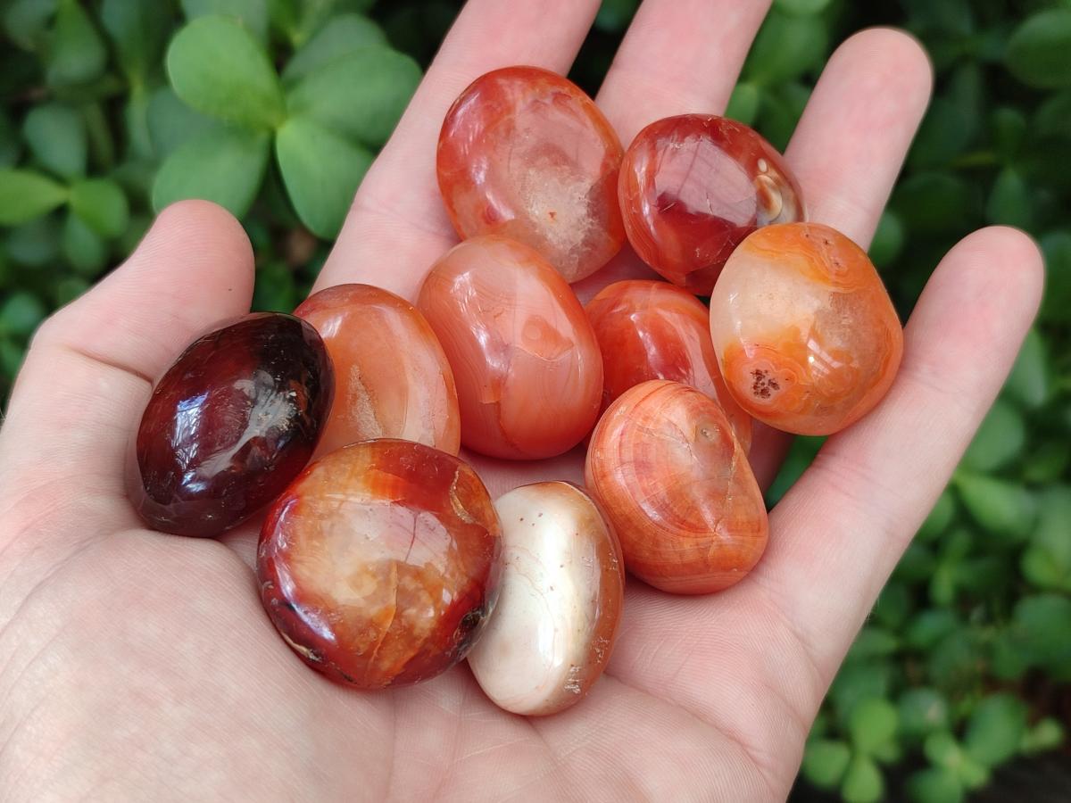 Polished Carnelian Agate Gemstone Wire Wrap Jewellery Free Forms x 70 From Madagascar - Toprock Gemstones and Minerals 