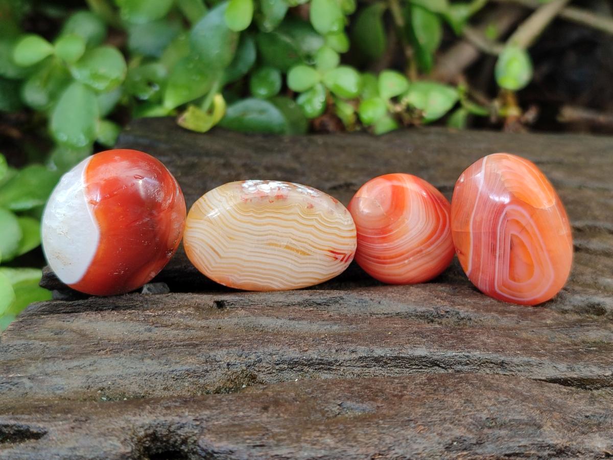 Polished Carnelian Agate Gemstone Wire Wrap Jewellery Free Forms x 70 From Madagascar - Toprock Gemstones and Minerals 