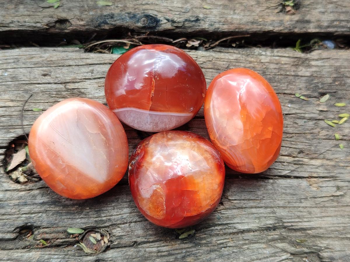 Polished Carnelian Agate Gemstone Wire Wrap Jewellery Free Forms x 70 From Madagascar - Toprock Gemstones and Minerals 