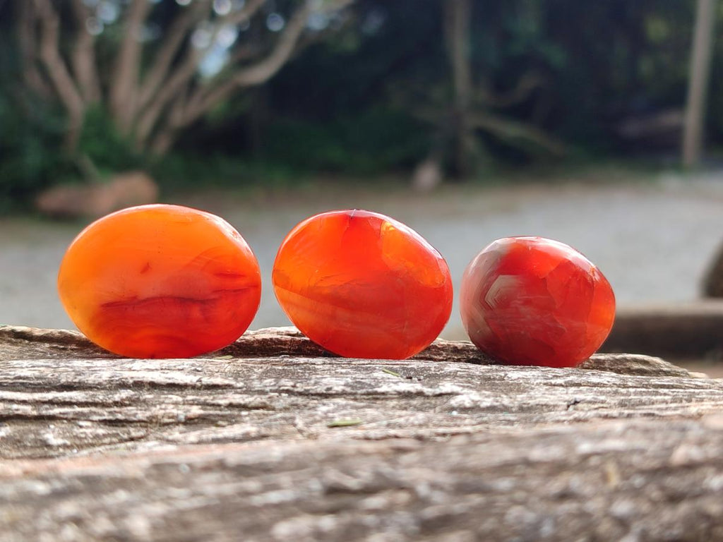 Polished Carnelian Agate Gemstone Wire Wrap Jewellery Free Forms x 70 From Madagascar - Toprock Gemstones and Minerals 