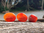 Polished Carnelian Agate Gemstone Wire Wrap Jewellery Free Forms x 70 From Madagascar - Toprock Gemstones and Minerals 