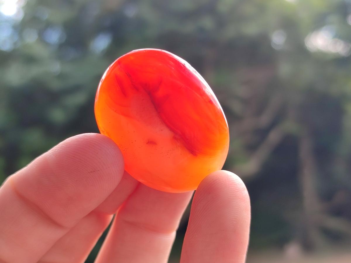 Polished Carnelian Agate Gemstone Wire Wrap Jewellery Free Forms x 70 From Madagascar - Toprock Gemstones and Minerals 
