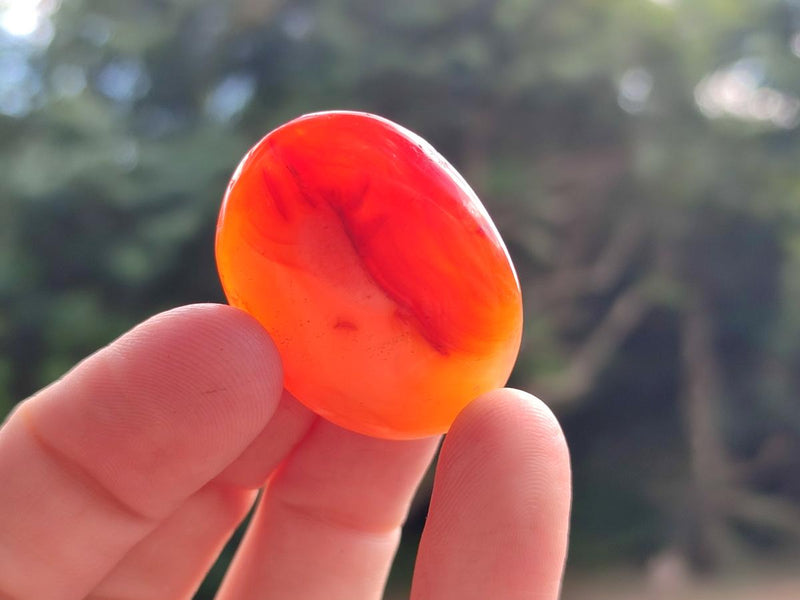 Polished Carnelian Agate Gemstone Wire Wrap Jewellery Free Forms x 70 From Madagascar - Toprock Gemstones and Minerals 