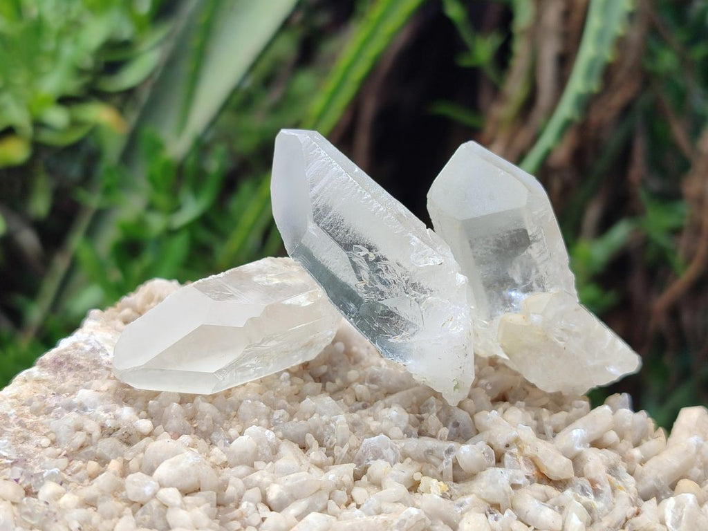 Natural Clear Quartz Crystals x 35 From Madagascar - Toprock Gemstones and Minerals 