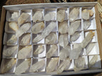 Natural Clear Quartz Crystals x 35 From Madagascar - Toprock Gemstones and Minerals 