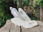 Natural Clear Quartz Crystals x 35 From Madagascar - Toprock Gemstones and Minerals 