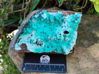 Natural Large Drusy Coated Chrysocolla with Malachite Specimen x 1 From Lupoto Mine, Congo - Toprock Gemstones and Minerals 
