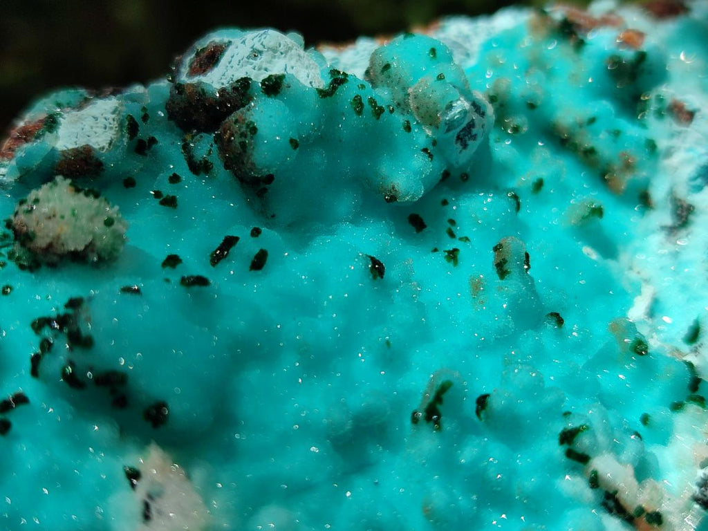 Natural Large Drusy Coated Chrysocolla with Malachite Specimen x 1 From Lupoto Mine, Congo - Toprock Gemstones and Minerals 