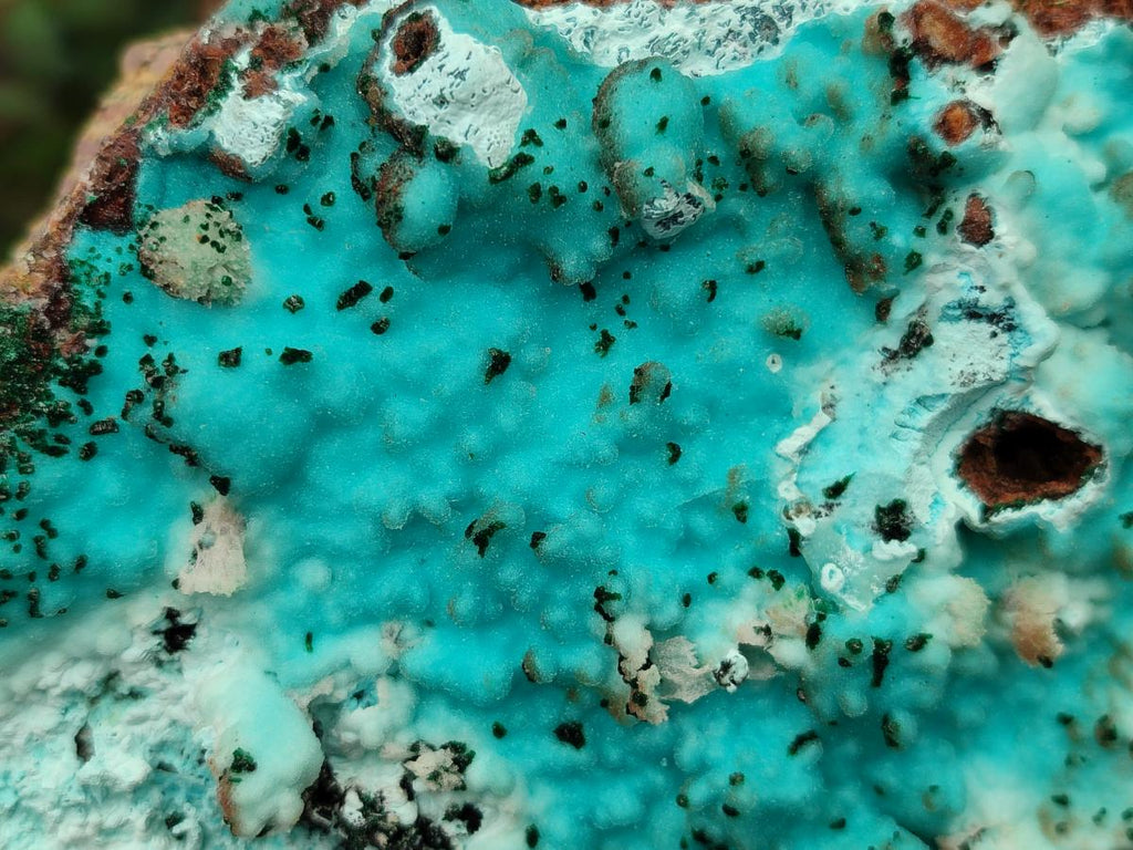 Natural Large Drusy Coated Chrysocolla with Malachite Specimen x 1 From Lupoto Mine, Congo - Toprock Gemstones and Minerals 