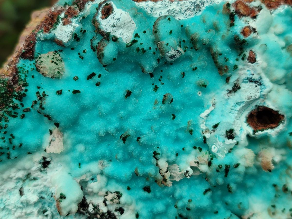 Natural Large Drusy Coated Chrysocolla with Malachite Specimen x 1 From Lupoto Mine, Congo - Toprock Gemstones and Minerals 