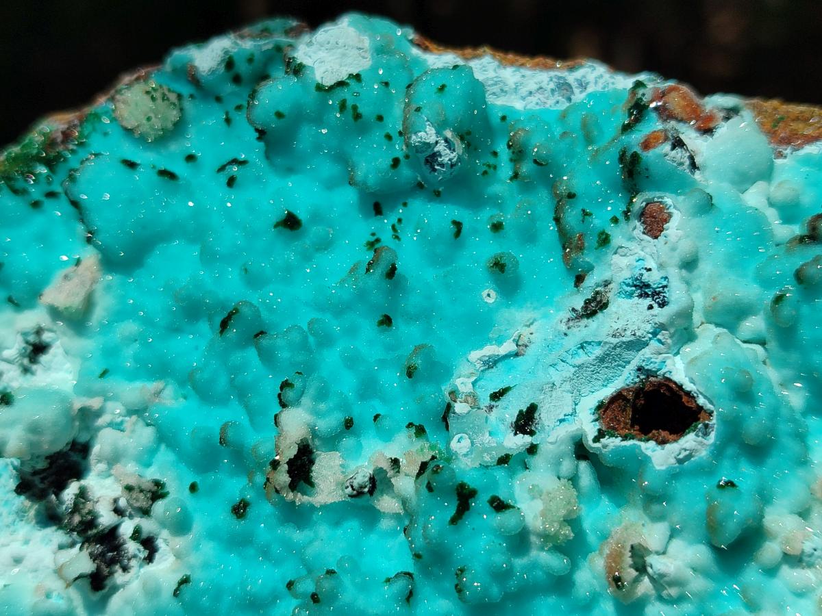 Natural Large Drusy Coated Chrysocolla with Malachite Specimen x 1 From Lupoto Mine, Congo - Toprock Gemstones and Minerals 