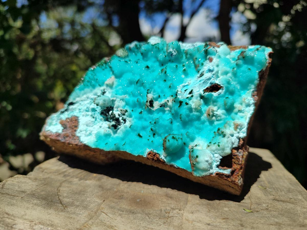 Natural Large Drusy Coated Chrysocolla with Malachite Specimen x 1 From Lupoto Mine, Congo - Toprock Gemstones and Minerals 