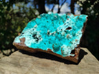 Natural Large Drusy Coated Chrysocolla with Malachite Specimen x 1 From Lupoto Mine, Congo - Toprock Gemstones and Minerals 
