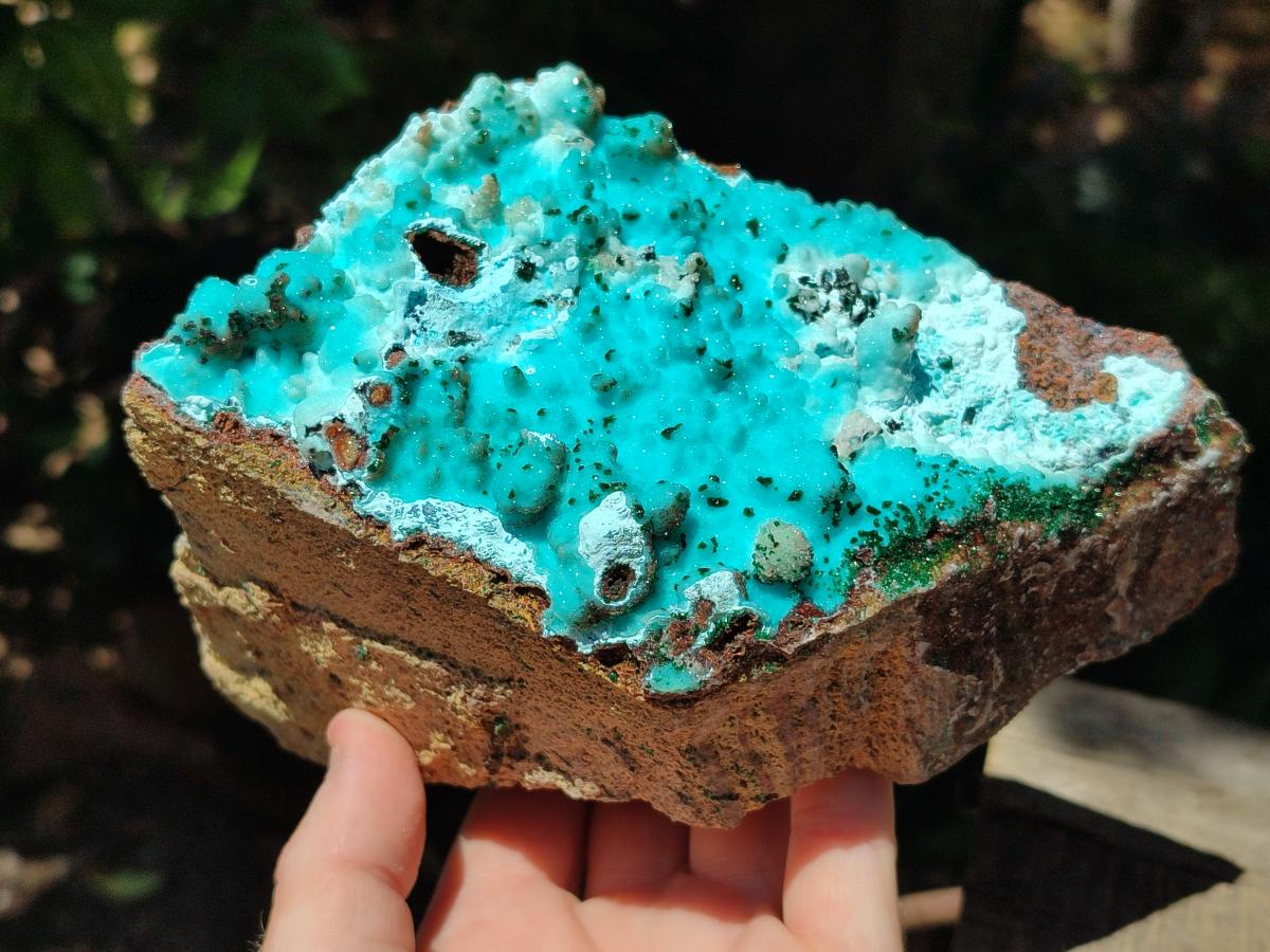 Natural Large Drusy Coated Chrysocolla with Malachite Specimen x 1 From Lupoto Mine, Congo - Toprock Gemstones and Minerals 
