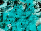 Natural Large Drusy Coated Chrysocolla with Malachite Specimen x 1 From Lupoto Mine, Congo - Toprock Gemstones and Minerals 