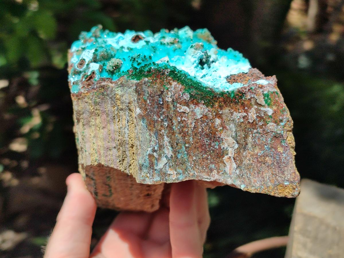 Natural Large Drusy Coated Chrysocolla with Malachite Specimen x 1 From Lupoto Mine, Congo - Toprock Gemstones and Minerals 