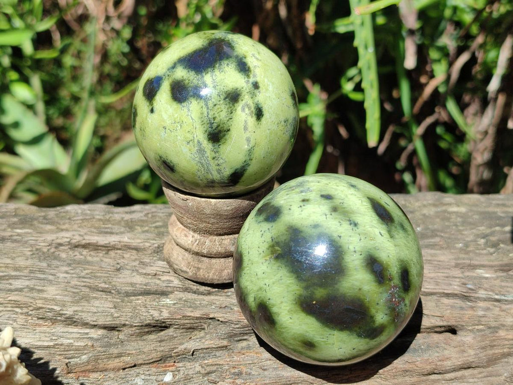 Polished Leopard Stone Spheres x 6 From Zimbabwe - Toprock Gemstones and Minerals 